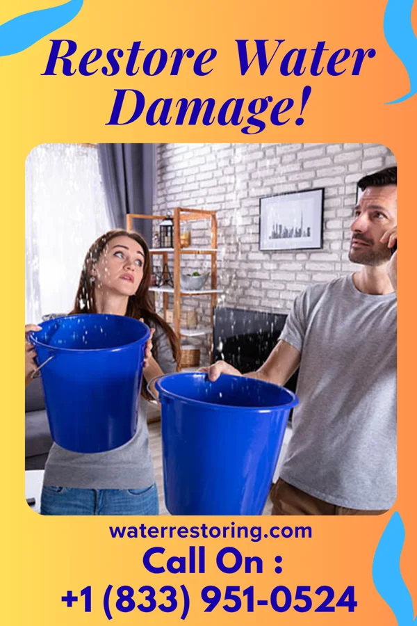 water restoration Coastal Water Mitigation & Associates Audubon